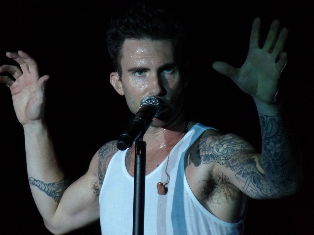 Male Celebrity Pits