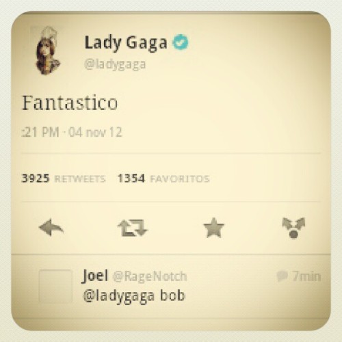 facts-on-life:  @ladygaga we love u brazil always love u <3 i’m really happy aaaaahhhhhhhhhhhh #screamings