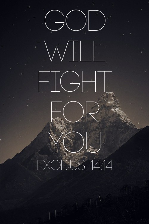 Download The Lord Will Fight For You You Need Only Be Still Exodus 11  Wallpaper  Wallpaperscom