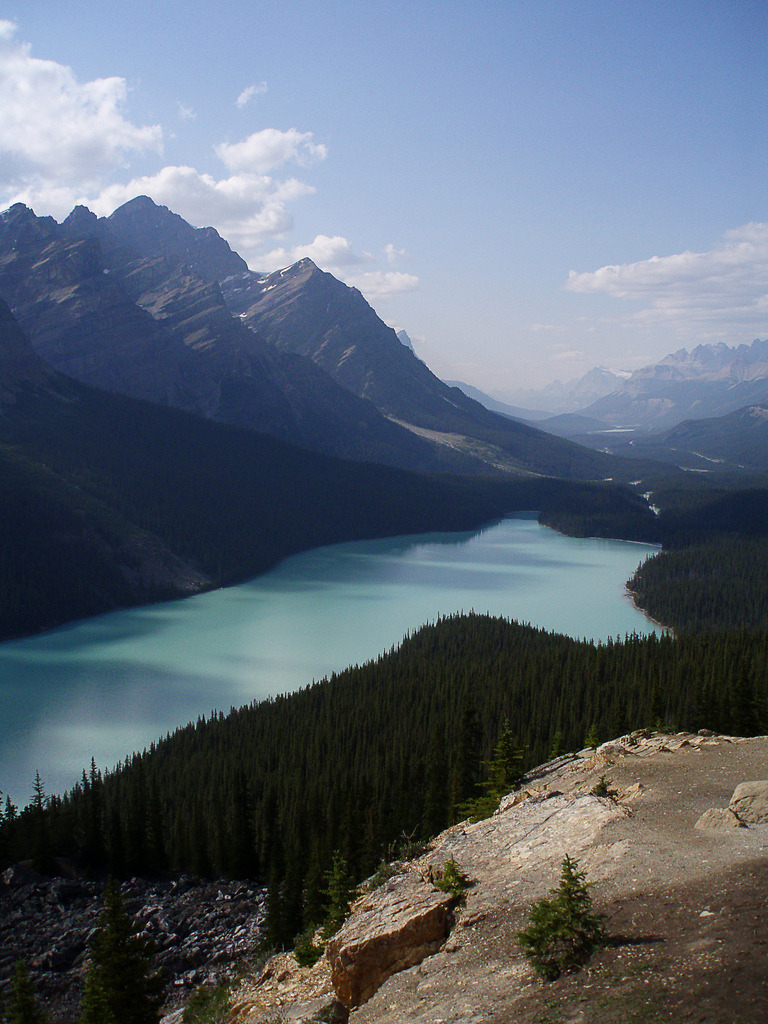 woodendreams:  (by fermicat)