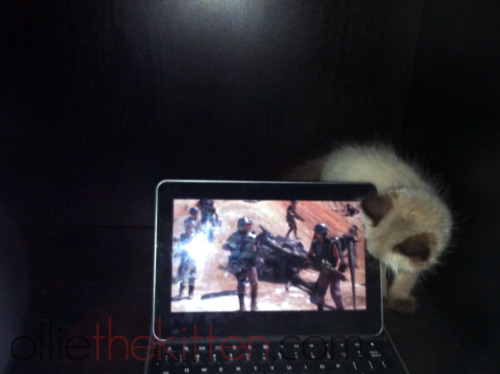 Ollie tends to copy human activities, so he&rsquo;ll watch Netflix on the tablet just because.  (Oll