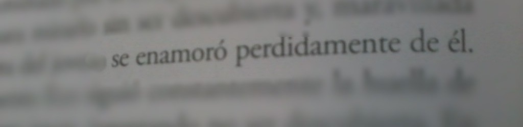 por-ti-sonrio:ave—sin—vuelo:  miradas-sobreelarb0l:  Se enamoró del amor de