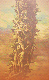 kmoleary:aryastarks:“I think we make quite the team.”Once Upon A Time 2x06 - Tallahassee