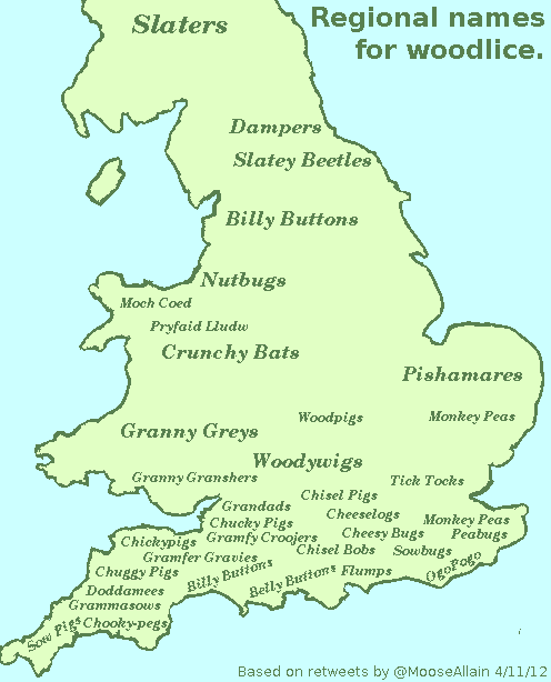 This evening the twitter celebrity @MooseAllain retweeted mainly English, particularly Wessex/Cornwall, regional names for woodlice. They are amazing. I have tried to make a map of the results. The word sizes are chosen to make the words fit and the...