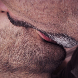 furmidable:  A beautiful bearded kiss …