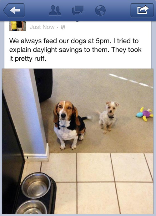 the-absolute-funniest-posts:  Follow this blog, you’ll love it on your dashboard!