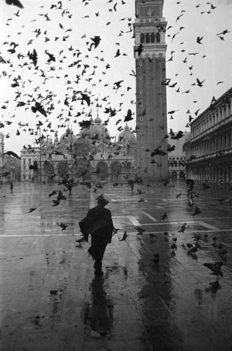 jarrodis:  Venice 