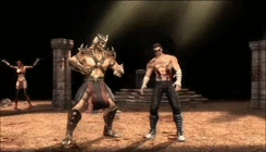 ewok-gia:  Mortal Kombat 9 | Fatalities 