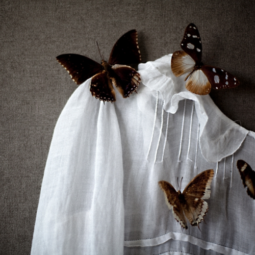 &lsquo;I dreamed I was a butterfly, flitting around in the sky; then I awoke. Now I wonder: Am I a m