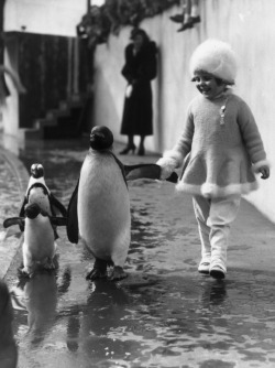 m3zzaluna:  penguin and friend a little girl hold a penguin’s flipper as they walk together at london zoo, may, 1937. photo by fox photos/getty images. more similar here