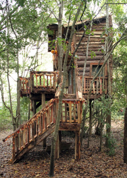 cabinporn:  Backyard log treehouse built by Bryan Schutmaat’s father. View more. 