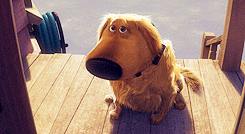 whyhansolo:[?] - Favorite animal → Dug | UP! (2009)