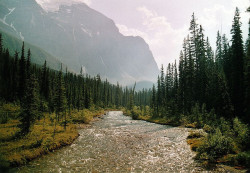 sav3mys0ul:  Canada, Alberta, Banff NP, Paradise