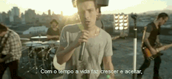 pitoleca adormeceu.