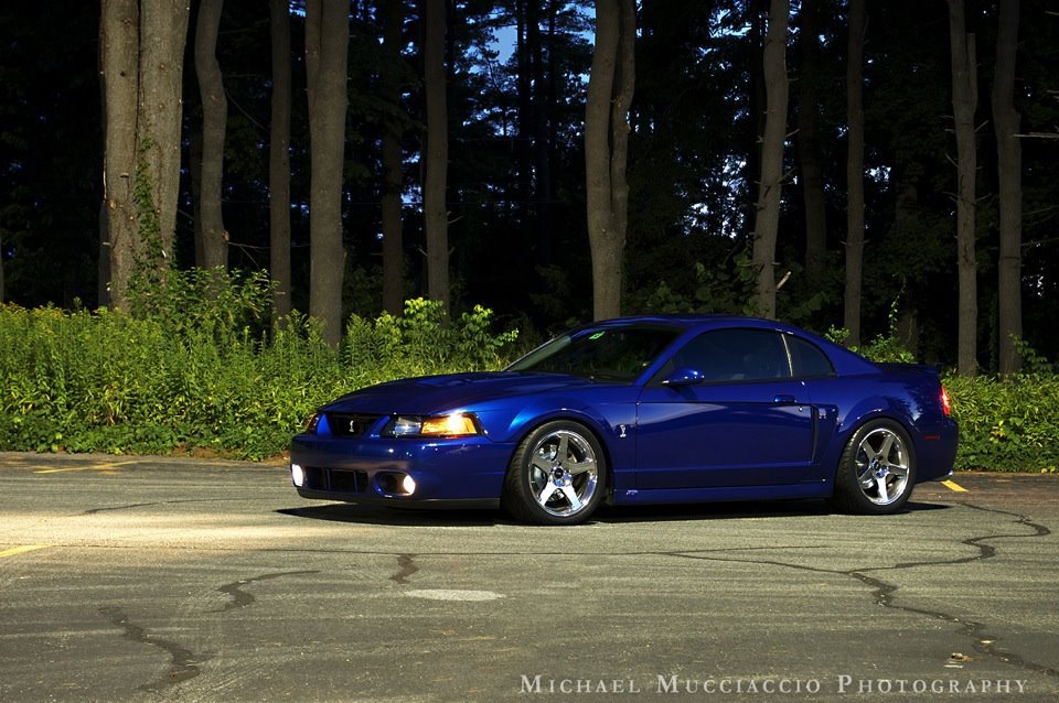 SVT Performance.