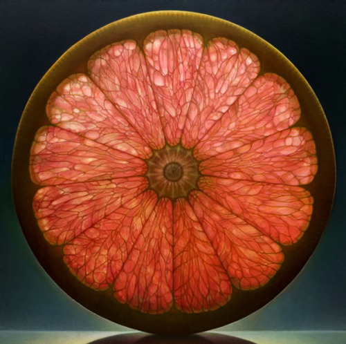 re-examine:  thaxted:  itsvondell:  hifas:  Citrus Series by Dennis Wojtkiewicz  man i remember reblogging these very soon after i joined tumblr you look at them and you’re like “wow! what amazing photographs” but they’re oil paintings they are