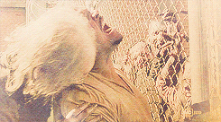 aryastarks:  The Walking Dead - Killer Within 