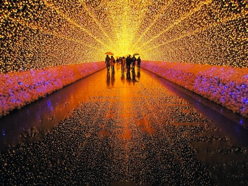 jinseimajo:myampgoesto11:Japan’s Spectacular Tunnel of LightsIf you happen to be in Japan from now t