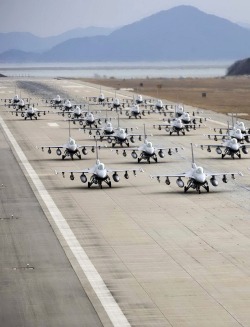 thevuas:  F16 Elephant Walk [via] 