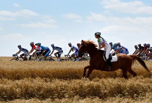 delightfulcycles: Happy Melbourne Cup Day. All the best! Bet responsibly!