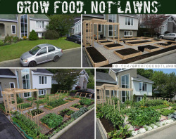 darkchibishadow:  witchlingfumbles:  asksecularwitch:  dodgerthirteen:  studying-witch:  rawlivingfoods:  Just imagine how many resources are used up for lawns. And how amazing would it be to know where your food comes from? Grow food and fuel your life!