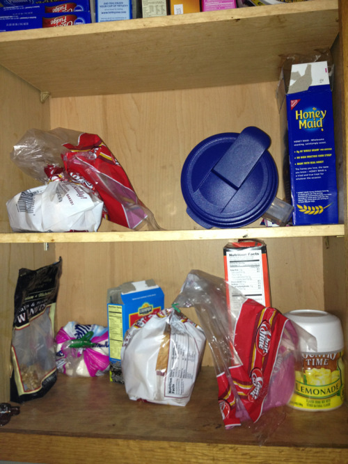 -annoying:  Hey I’m hungry which should I eat first the stale graham crackers or the country time lemonade mix