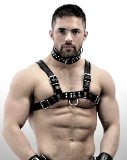 tomofs:  I want to get a boy like this for Xmas.   Nipples and harness