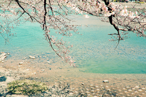 caelestial:清澈的河川 by conago1 on Flickr.