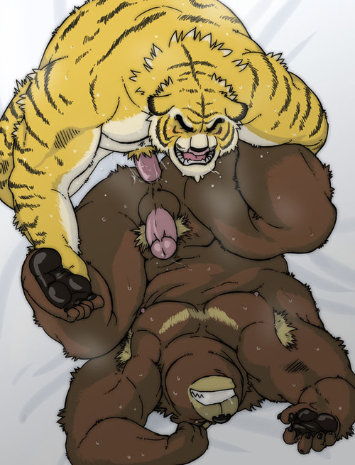 Porn photo fatfur:  Tigers and Bears~ 