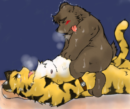 XXX fatfur:  Tigers and Bears~  photo