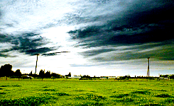 joonchi:  Supernatural season 1 scenery 