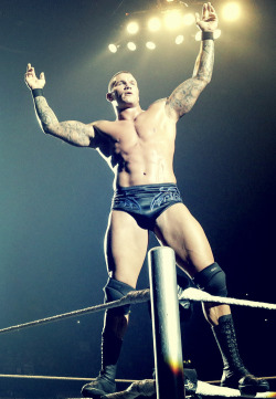 slytherindiva:  Randy Orton at the Smackdown live event in London  