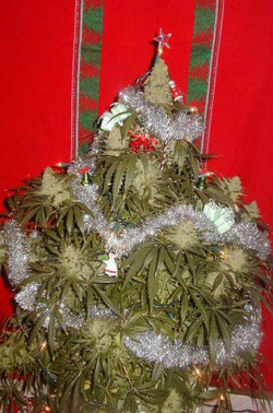 letsget-stoned:  This is what my Christmas