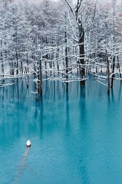 cocoaaaaa:  Blue Pond In November  