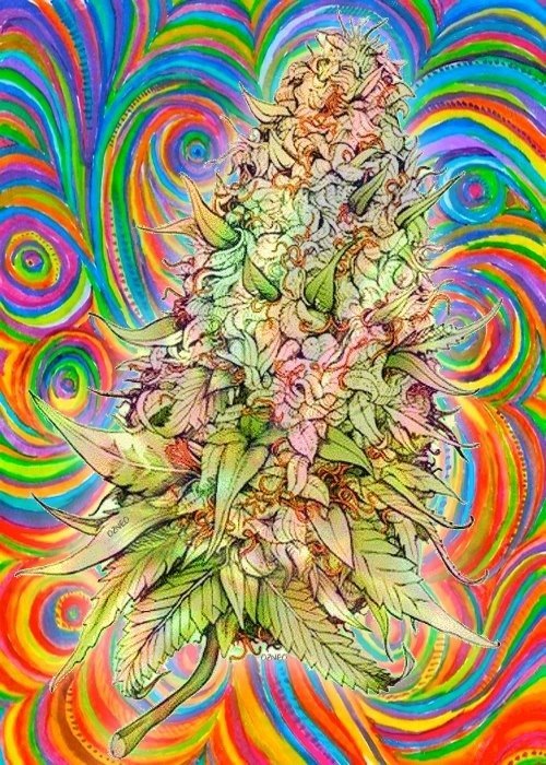 Good vibes & Stoney eyes