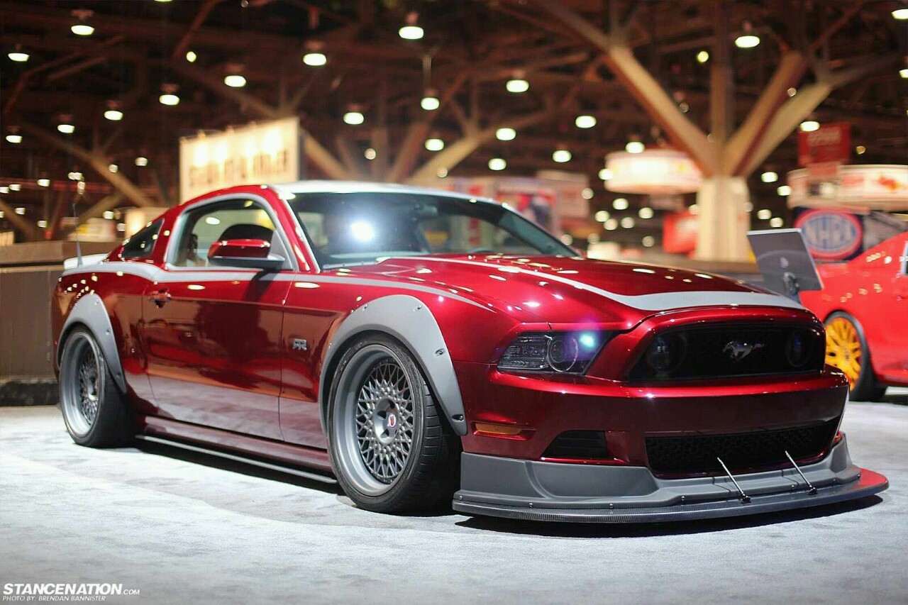 Ford Mustangs