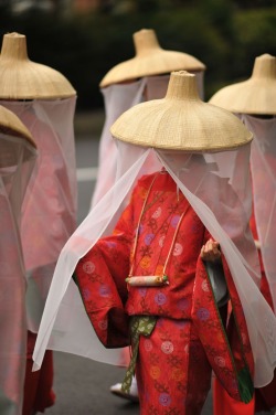 violadreamlove:  Sannou Matsuri Beauties 