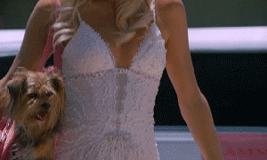 lindsaylohangmyself:  your blog is good only because you reblogged all of it from me   