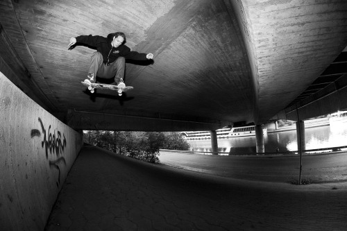 Herbie - Ollie