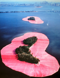 pubertad:  Christo and Jeanne-Claude,Surrounded