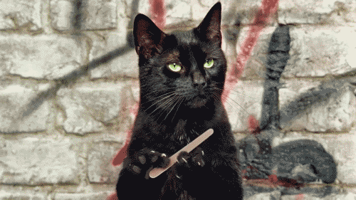 tumblr_md2phfFjV41qltqg1.gif