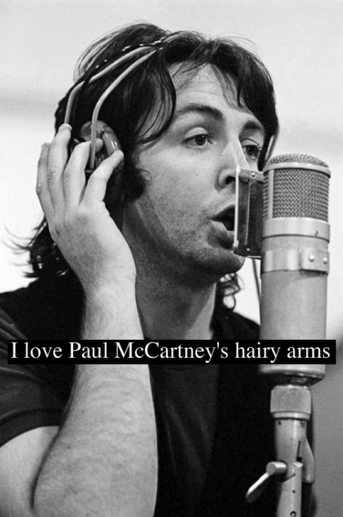 beatlesconfessions:(martha-my-love)(original photo)