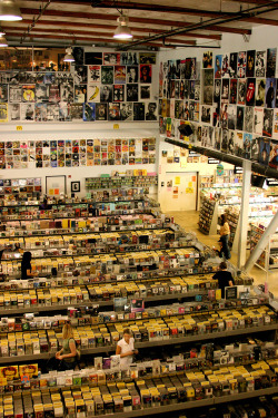 80srockwillneverdie:  mellonxcollie:   Amoeba Music in Hollywood, CA.  I need to go back.  is this heaven? 