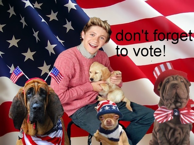 themagicalplatypus:  an important message from *~niall~* 