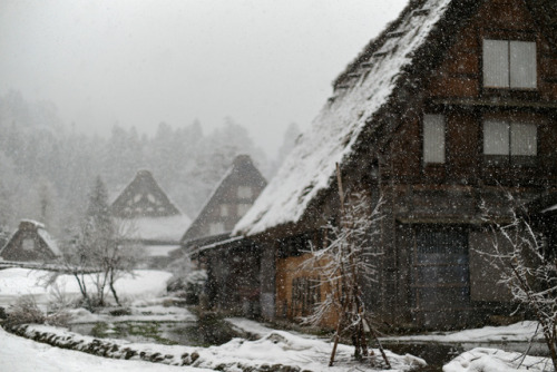 elorablue: Winter of Japan by R26B on Flickr.