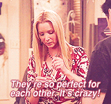 “It’s a known fact that lobsters fall in love and mate for life. You know what, you can actually see old lobster couples walking around their tank, you know, holding claws.”  Phoebe Buffay - the ultimate Ross/Rachel ‘shipper   