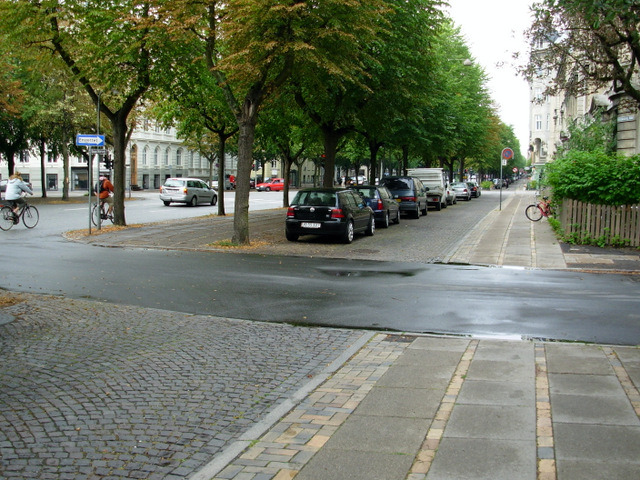 Fredriksberg Alle, Copenhagen