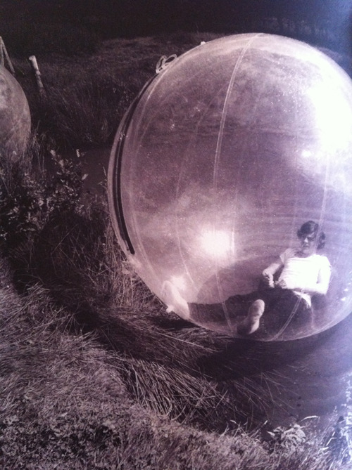 niallsfucktoy:  Take Me Home Picture Book - Harry 