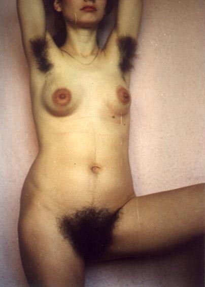 http://bellyhairandracingstripes.tumblr.com/post/41648388978