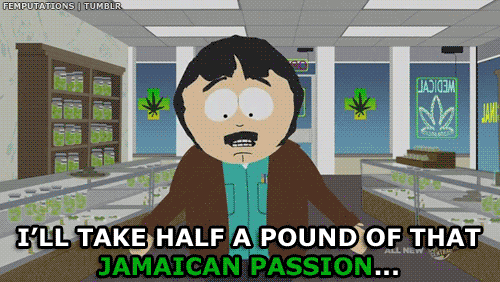 hailmaryjane:  Now everybody in Colorado can be like Randy. 